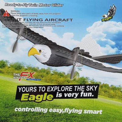 2.4g Самолёт Fx651 Глайдер Беспроводное дистанционное управление Eagle Модель Пеновая Rc Электрическая ручка Самолёт Детские игрушки для детей