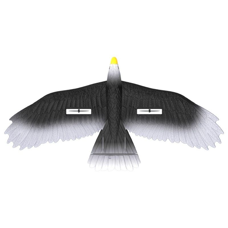 3-Ch RC Bird Plane Fly Toy RC Airplane EPP Model Eagle Toys Glider Jet Controller Батарея 4 * 1.5AAA Батарея не включена